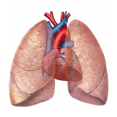 cáncer pulmón